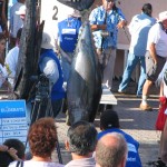 This 218.lbs monster won the Tuna division